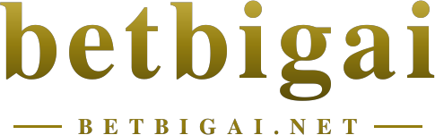 betbigai logo